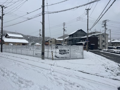 高知　大雪　桟橋動物病院