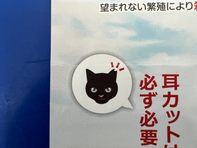 ネコのさくら耳(耳のV字カット)