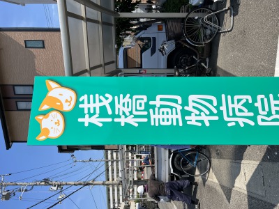 桟橋動物病院