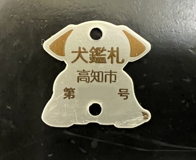 高知市 犬鑑札