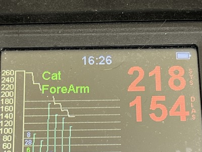 猫の高血圧　petMAP graphic Ⅱ
