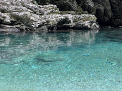 仁淀ブルー　にこ淵+水晶淵(安居渓谷)