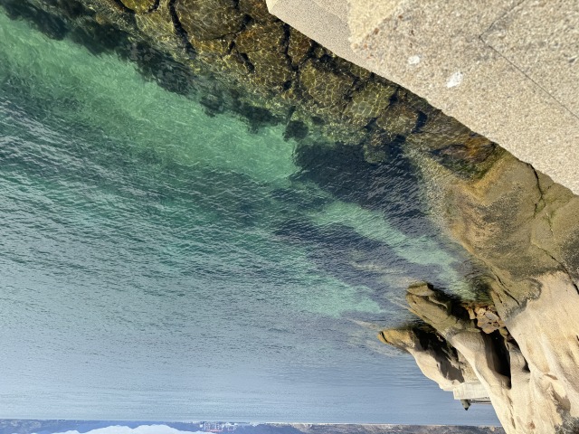 大久野島　海