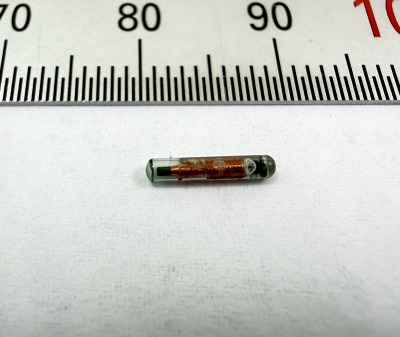 マイクロチップ実物写真