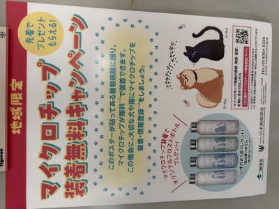 マイクロチップ装着無料キャンペーン　ポスター